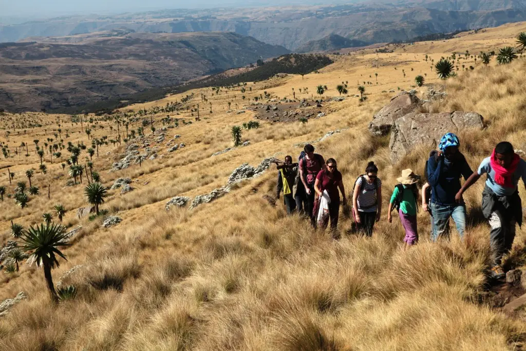 Dave, in red scarf, leading us up to Imet Gogo viewpoint in the Simien escarpment