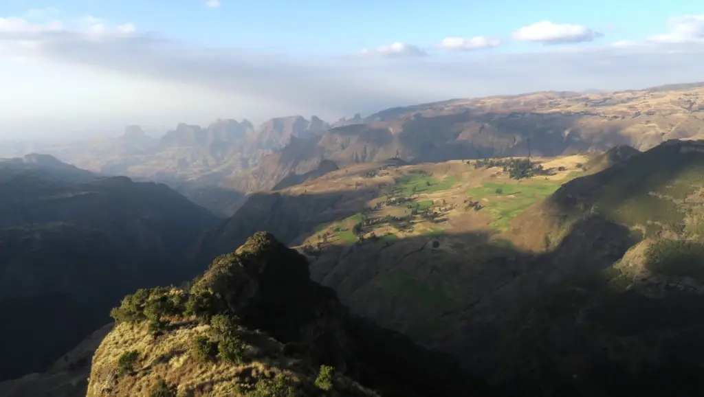 Simien sundowner