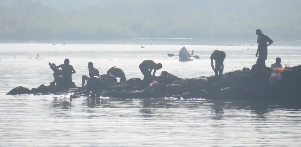 Morning ablutions on Lake Tana